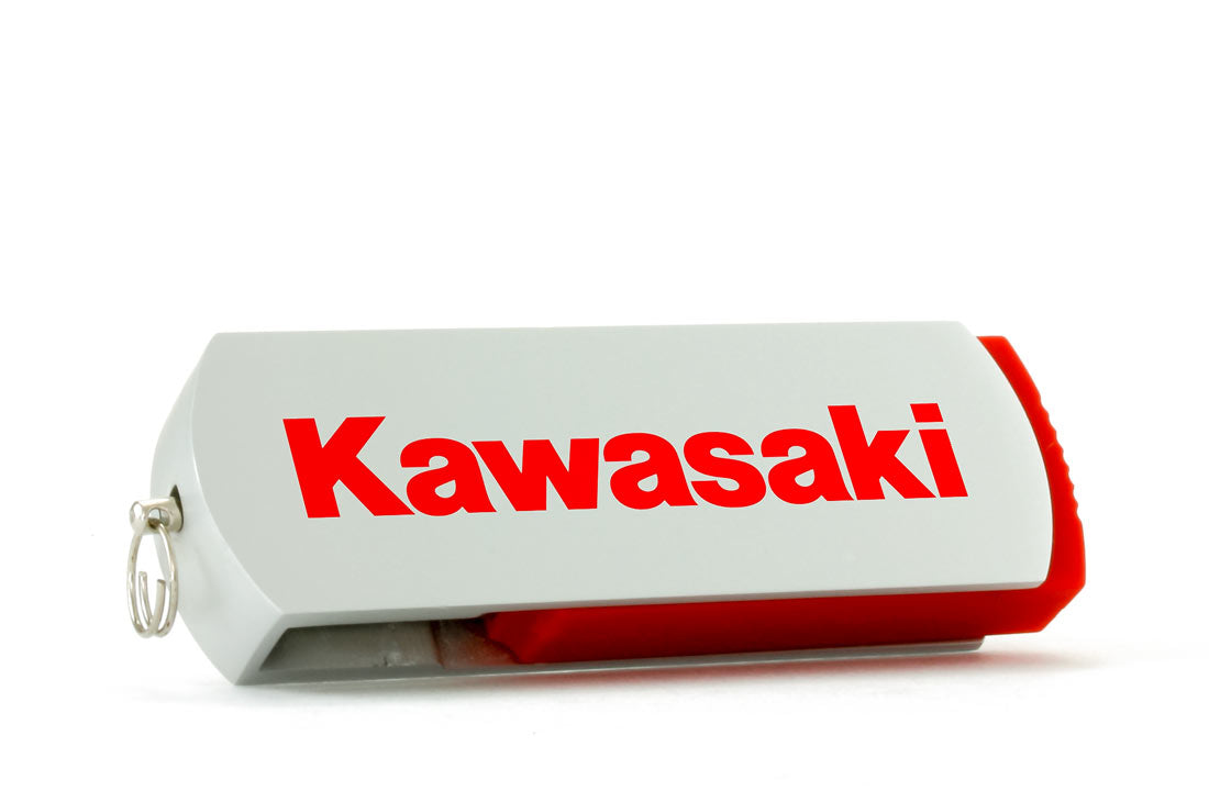 Flipper USB Flash Drive